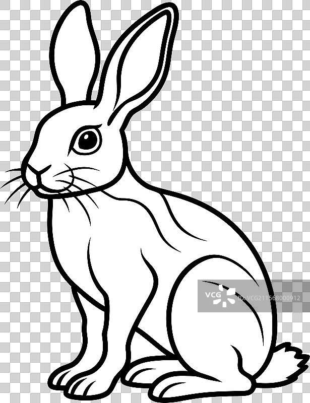 欧洲野兔坐姿图标图片素材