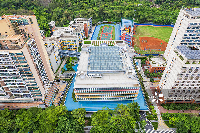 深圳市蛇口育才教育集团龙珠学校图片素材