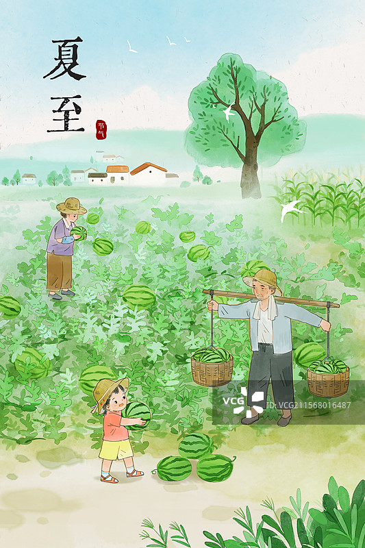 夏至瓜田收获西瓜水彩儿童插画图片素材