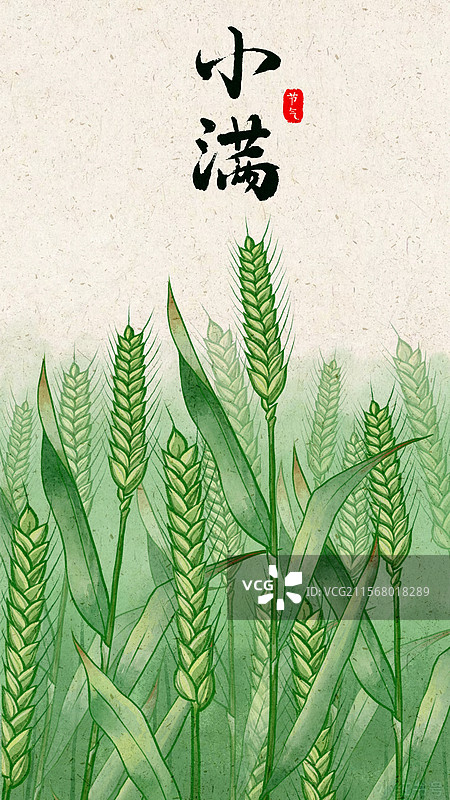 二十四节气·小满图片素材