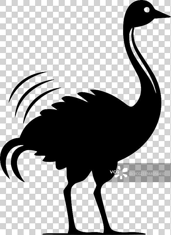 渡渡鸟 - 高质量标志 - 适合T恤使用图片素材