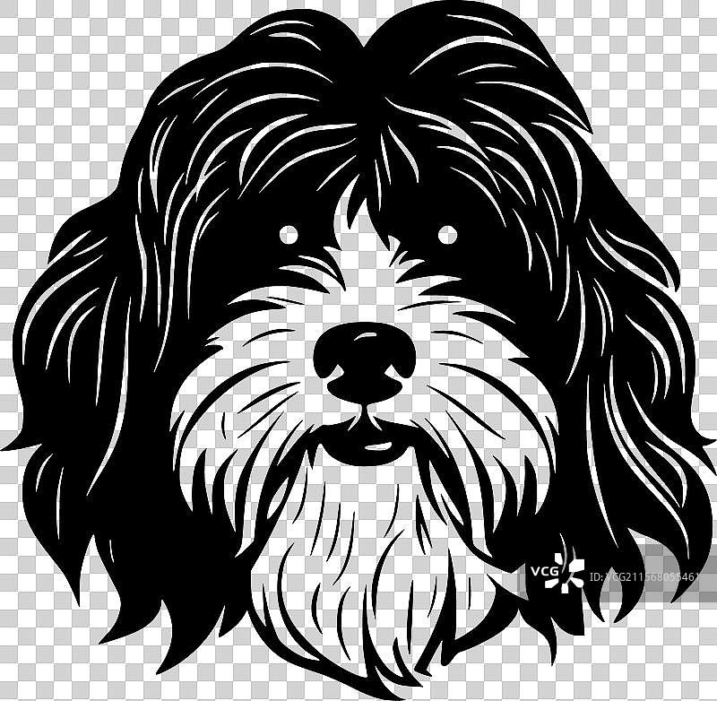 哈瓦那犬 - 高质量标志 - 适合T恤使用图片素材