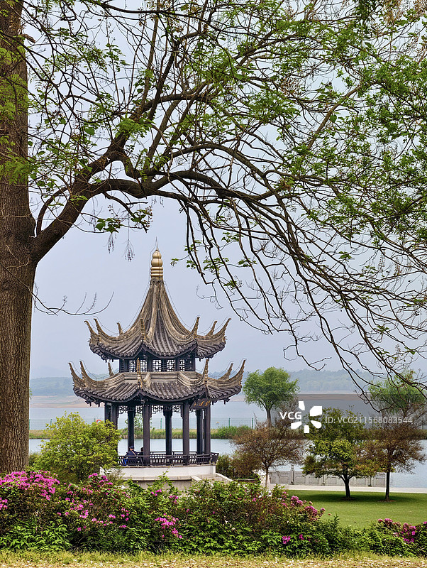 湖畔逸亭沐春景——江苏宜兴云湖风景区图片素材