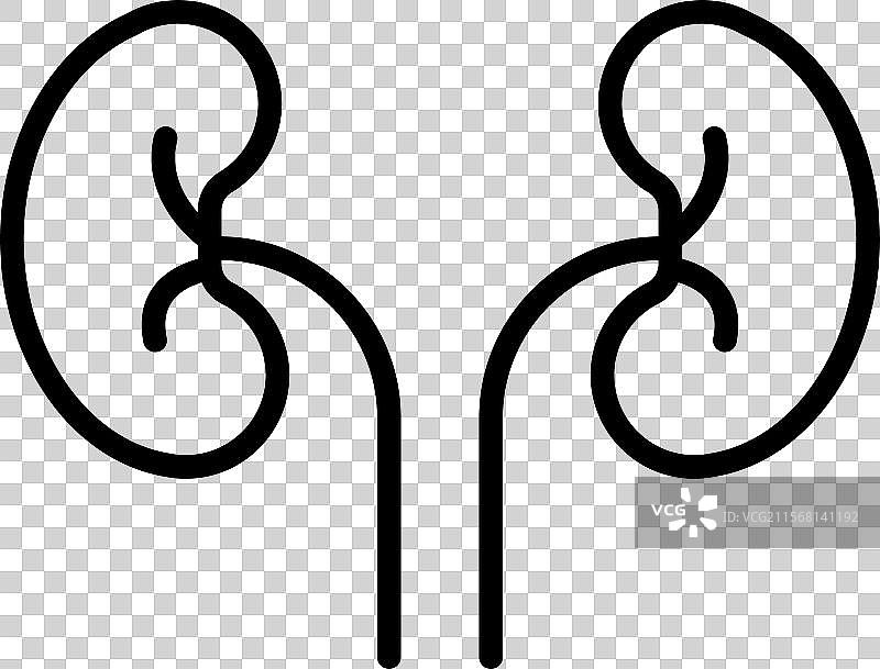 黑白色肾脏图标线性标志图片素材