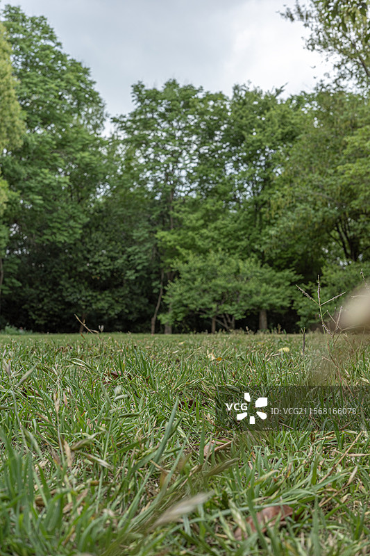 南京下马坊遗址公园图片素材