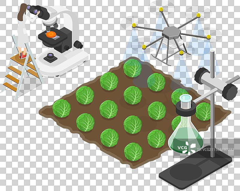 农业的三维等距平面图图片素材