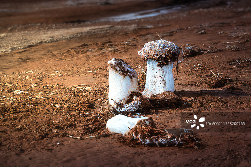 青海玉树州，三江源国家公园，通天河河滩上的冰蘑菇，永久冻土带，冰川地形，冰碛图片素材