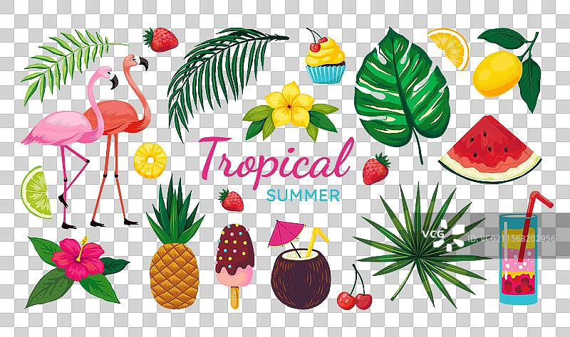 海滩派对元素 夏季旅行 假期图片素材