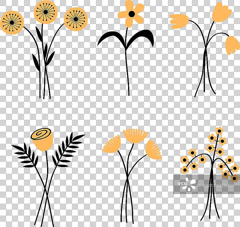 不同种类的黄色花束，包括雏菊图片素材