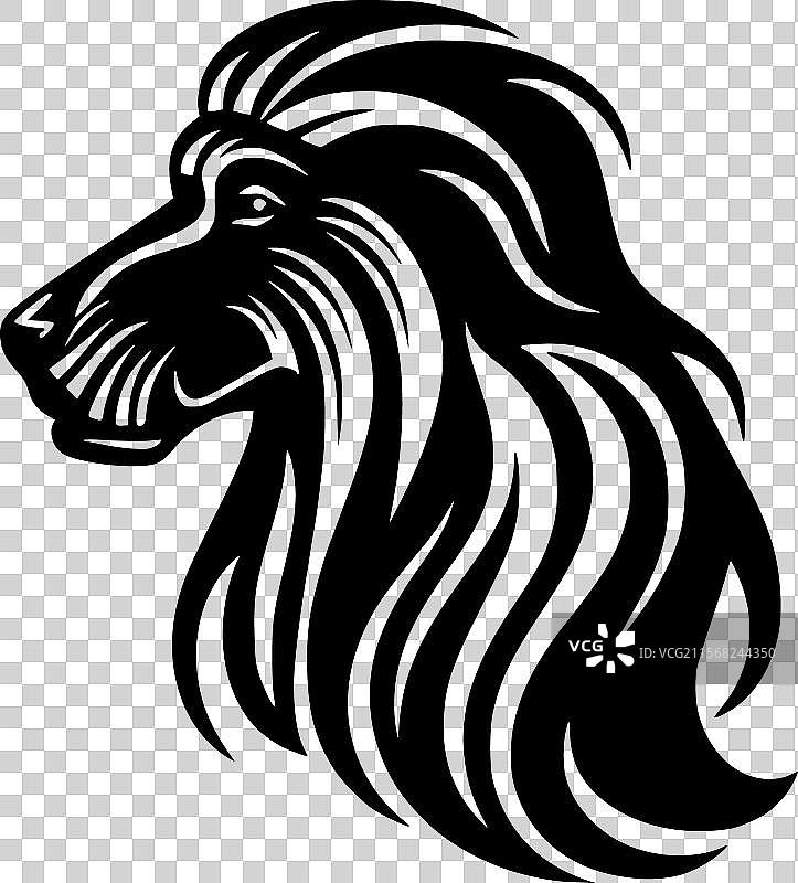 阿富汗猎犬 - 黑白色图片素材