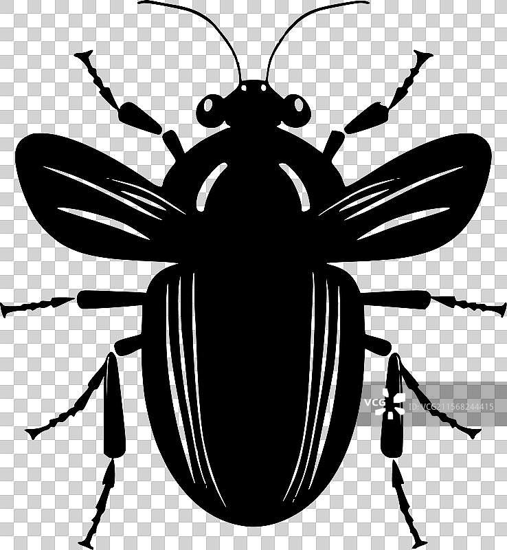 蟑螂 - 高质量标志 - 适合T恤的设计图片素材