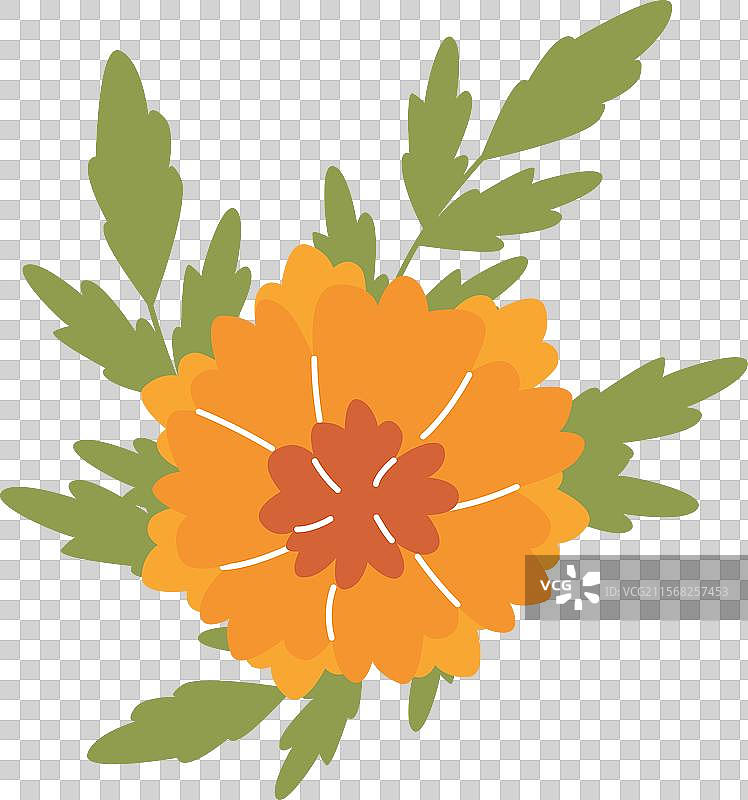 橙色万寿菊花与叶子平铺在一起图片素材