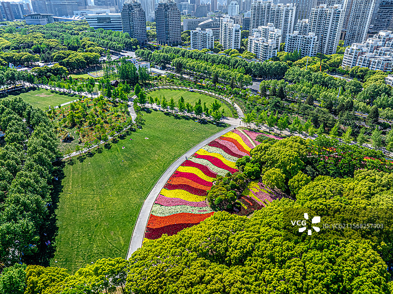 金鱼草七彩花园盛开 联洋社区 城市中央公园绿意盎然 上海世纪公园生态湿地 城市绿洲宜业宜居图片素材