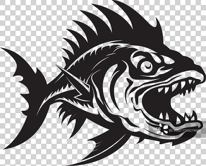 伊甸园的优雅淡水鱼组合图片素材