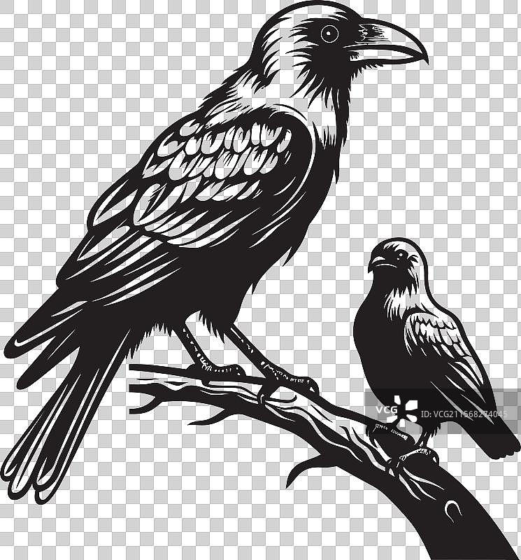 阴郁的乌鸦栖息在骷髅上的图形设计图片素材