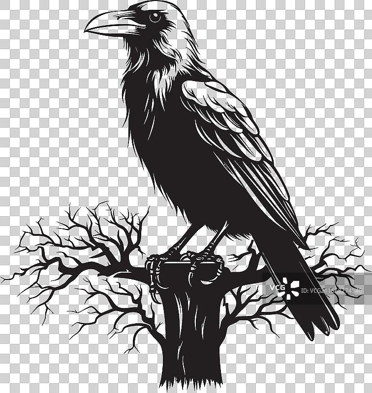 黑色乌鸦与骷髅徽章图形设计图片素材