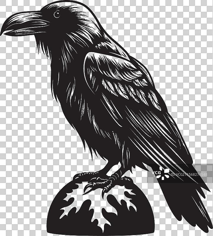 哥特风格的乌鸦栖息标志设计图片素材