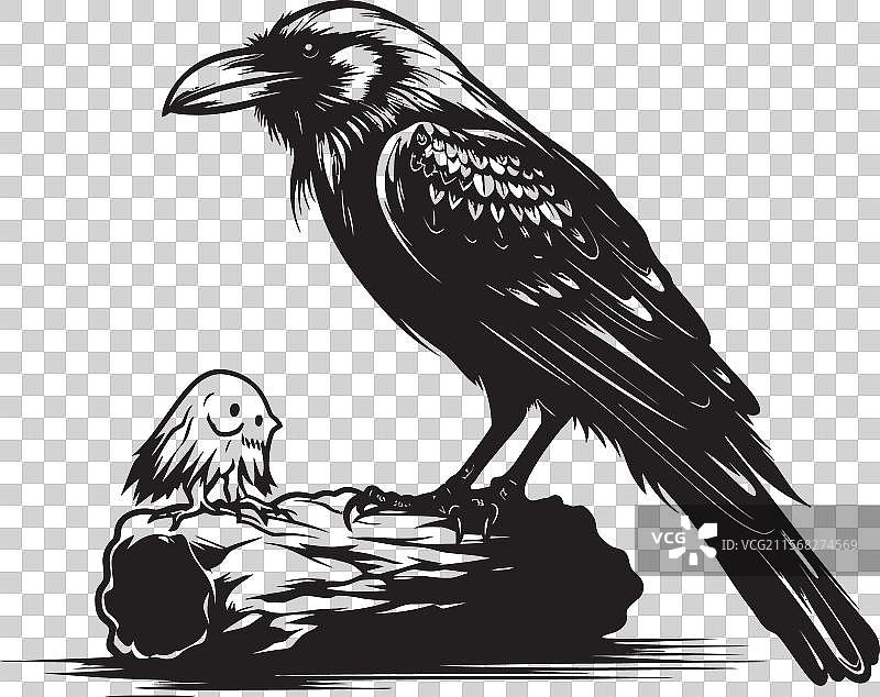 阴森的乌鸦哨兵图形艺术乌鸦图片素材