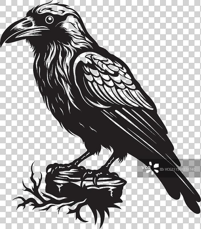 乌鸦与骷髅融合的符号图形艺术，阴森可怖图片素材