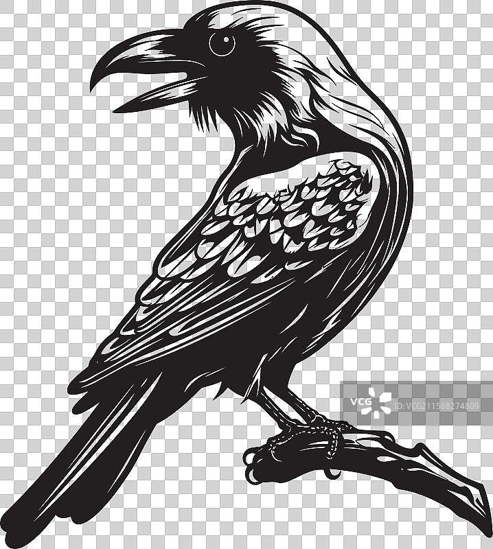 神秘的乌鸦与骷髅符号的哥特风格标志设计图片素材