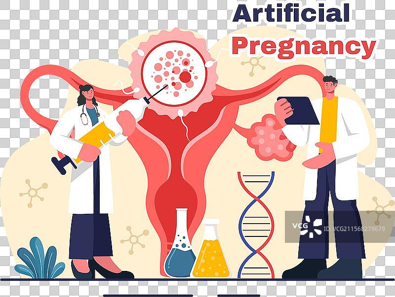 成功后的人工怀孕与伴侣图片素材