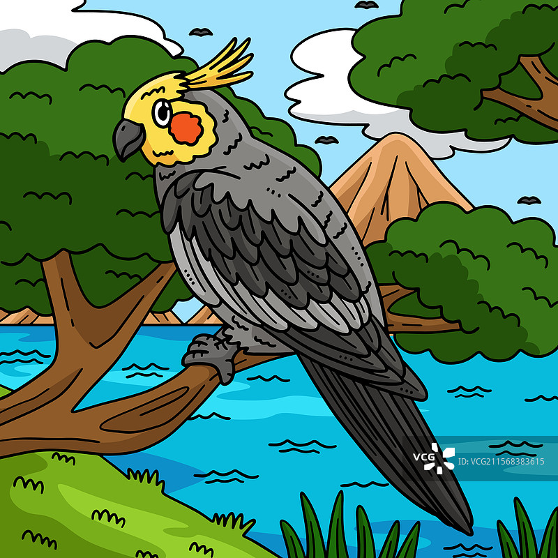 彩色的鹦鹉卡通形象图片素材