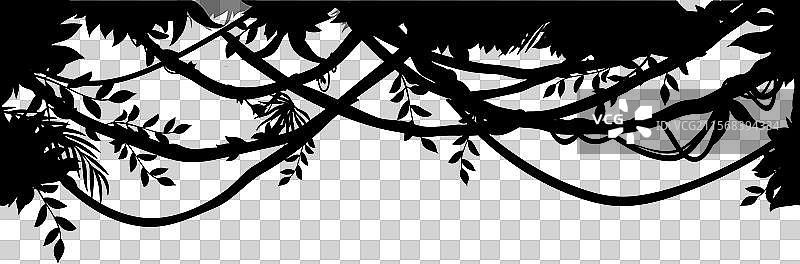 热带丛林藤蔓和树枝的剪影图片素材