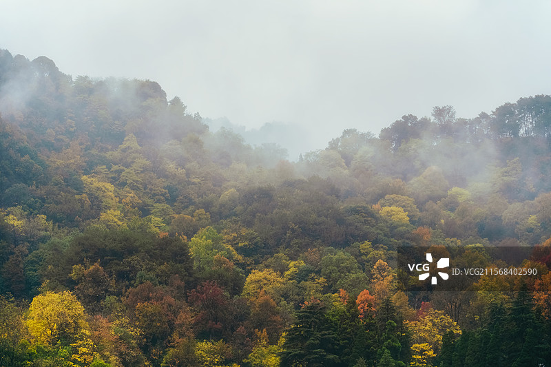秋天色彩图片素材