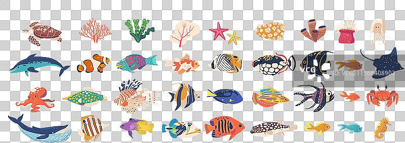 色彩缤纷的卡通海洋生物系列图片素材