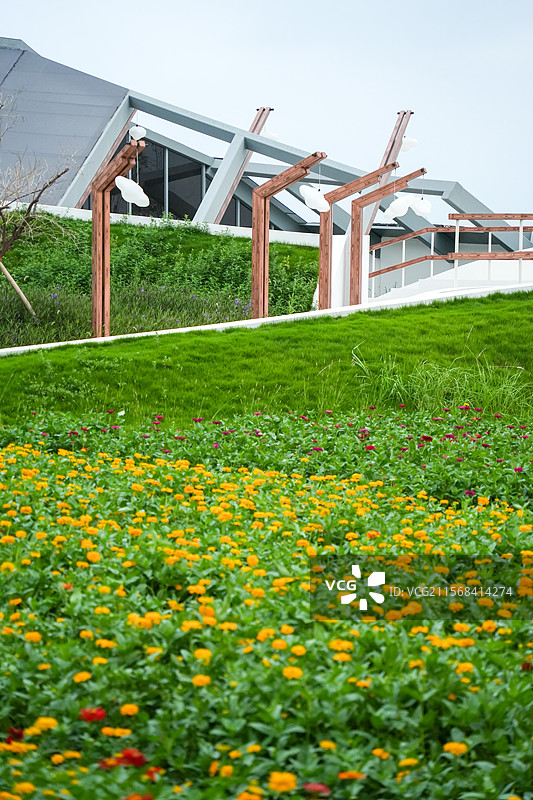 湖州 德清 下渚湖湿地公园乐岛 云朵露台 观景台 花海 百日菊 草地图片素材
