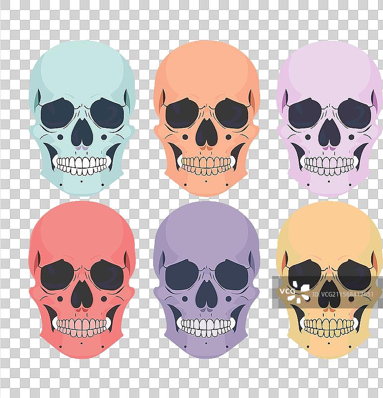 六个色彩斑斓的骷髅排列成两行，形状各异。图片素材