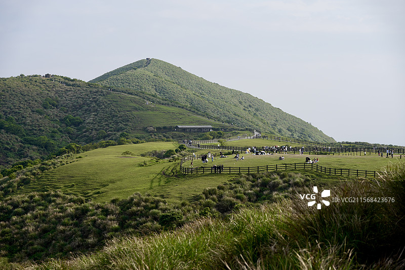 台北阳明山擎天岗图片素材