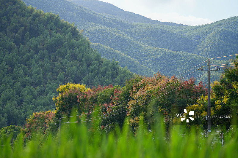湖州 德清 莫干山 仙潭村 田野 田园图片素材