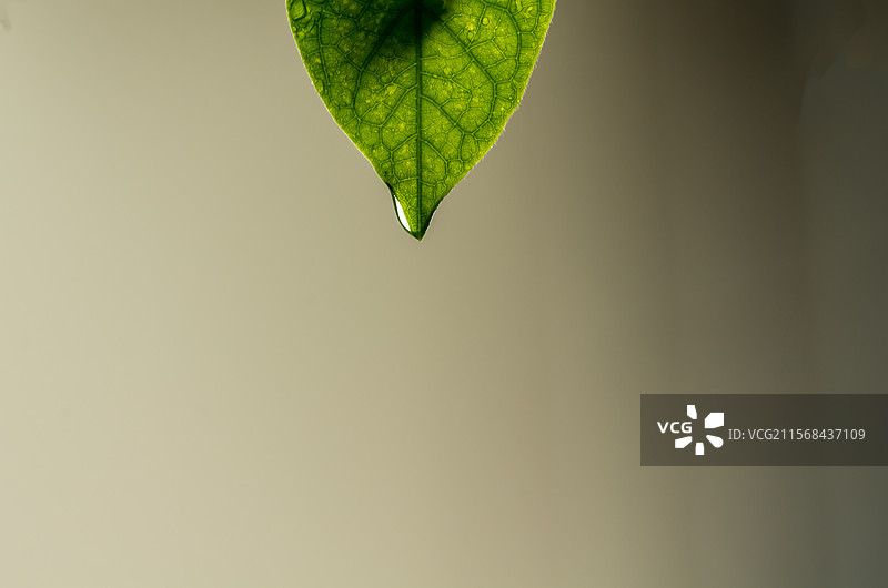珠三角夏天的雨图片素材
