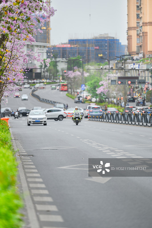 和谐·美好图片素材