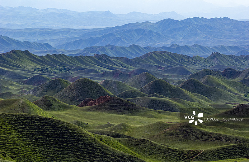 夏天的新疆S101省道鹿角湾国家森林公园图片素材