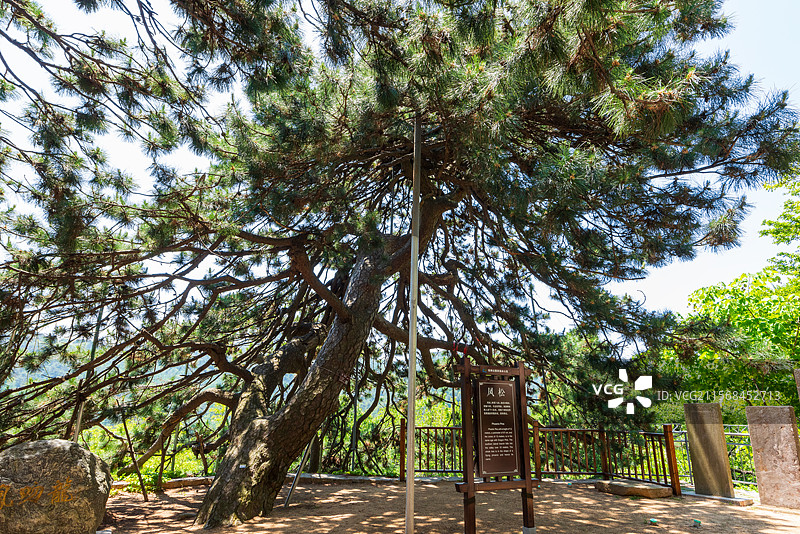 山东泰安市徂徕山国家森林公园中军帐图片素材