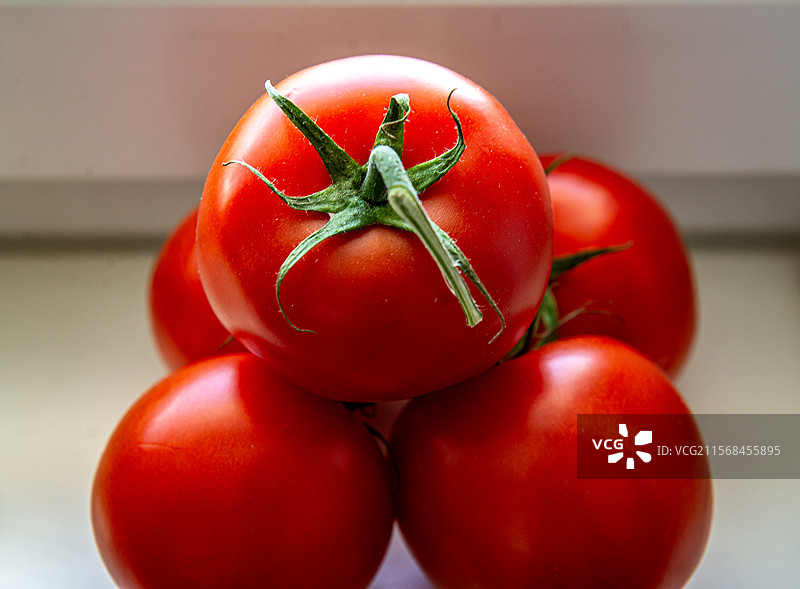 蔬菜集锦：辣椒、芹菜、番茄图片素材