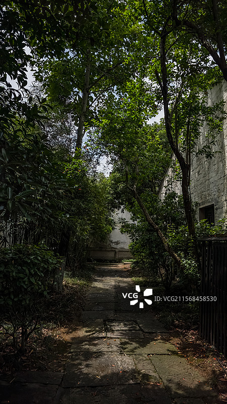 郁郁葱葱.绍兴开元观堂图片素材