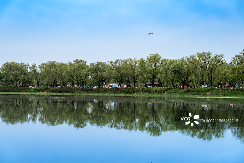 北京海淀区稻香湖公园风景图：山水蓝天湖泊绿树实拍图片素材