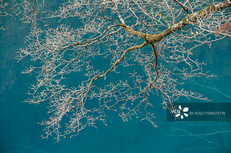 九寨沟探秘图片素材