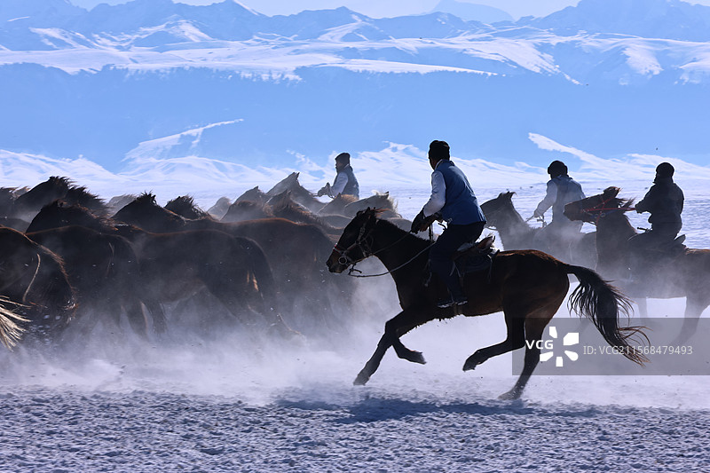 北疆赛马图片素材