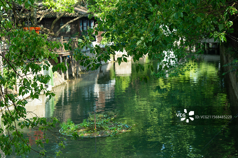 乌镇，江南水乡，西栅景区，世界互联网大会，乌镇戏剧节图片素材