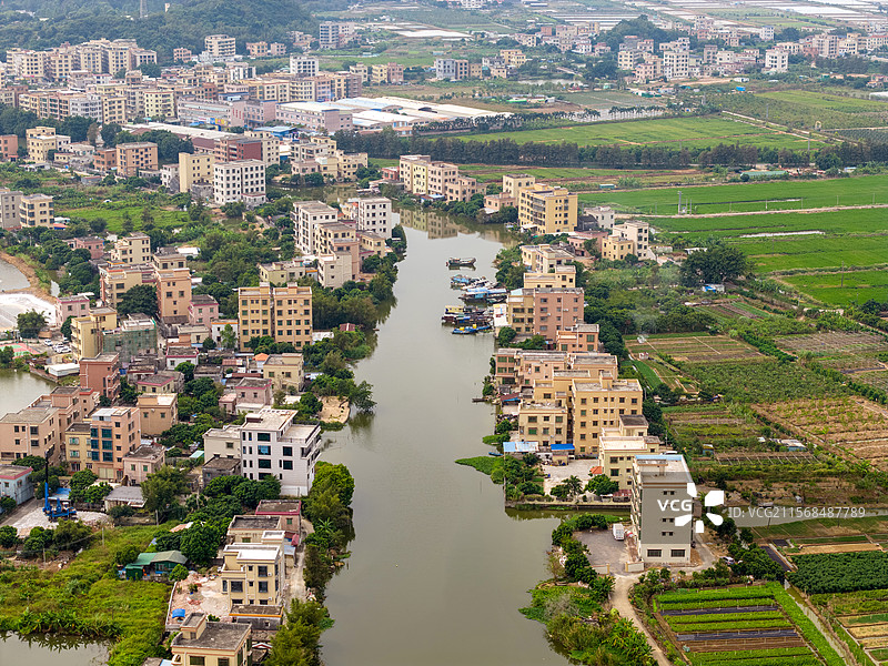 中山坦洲镇水乡田园风光图片素材
