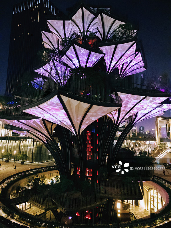 西安旅行 落花 古建筑 城墙 纹理 生命之树 历史感 现代感 城市图片素材