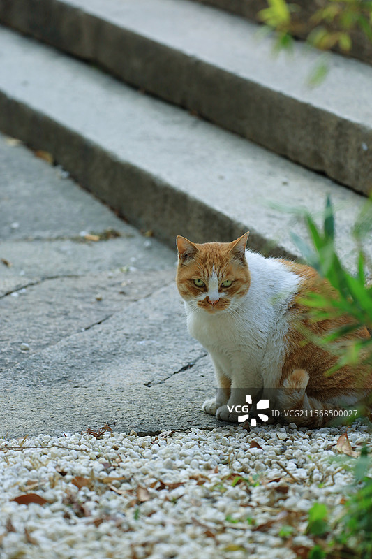 无锡荣氏梅园开原寺图片素材