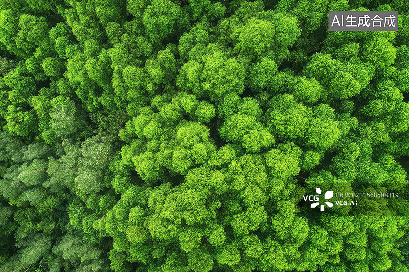 【AI数字艺术】俯瞰茂密的绿色森林图片素材