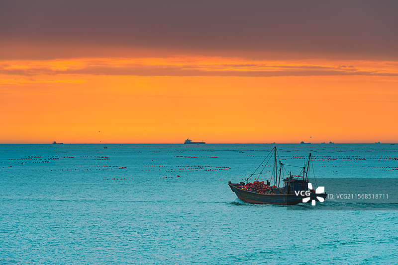 长岛日出渔船驶出图片素材