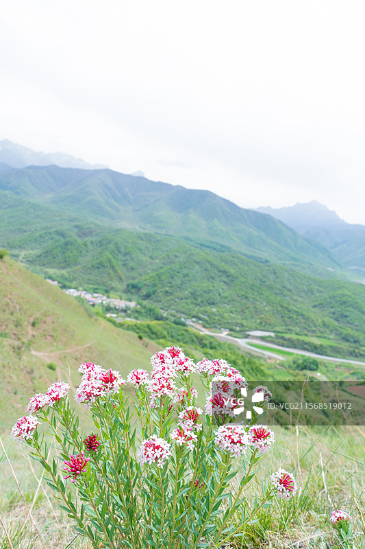 临夏太子山图片素材