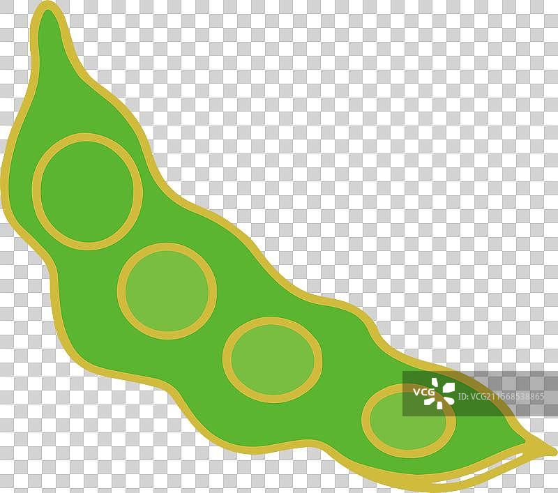 豆子 豆角 豆类 豌豆 简笔画 设计 元素 蔬菜 点缀 食材图片素材